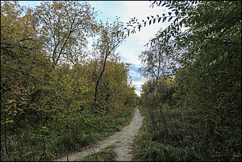 6 октября 2017 г., Барнаул. Екатерина Смолихина   Там, где кончается сказка: темная сторона парка Индустриального района