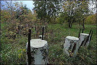 6 октября 2017 г., Барнаул. Екатерина Смолихина   Там, где кончается сказка: темная сторона парка Индустриального района