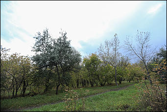 6 октября 2017 г., Барнаул. Екатерина Смолихина   Там, где кончается сказка: темная сторона парка Индустриального района