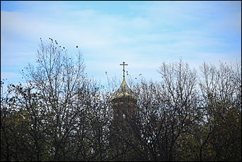 6 октября 2017 г., Барнаул. Екатерина Смолихина   Там, где кончается сказка: темная сторона парка Индустриального района