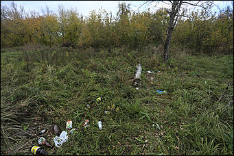 6 октября 2017 г., Барнаул. Екатерина Смолихина   Там, где кончается сказка: темная сторона парка Индустриального района