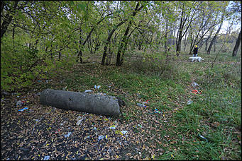 6 октября 2017 г., Барнаул. Екатерина Смолихина   Там, где кончается сказка: темная сторона парка Индустриального района
