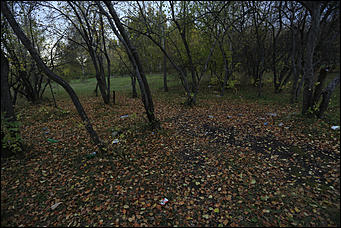 6 октября 2017 г., Барнаул. Екатерина Смолихина   Там, где кончается сказка: темная сторона парка Индустриального района