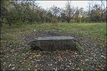 6 октября 2017 г., Барнаул. Екатерина Смолихина   Там, где кончается сказка: темная сторона парка Индустриального района