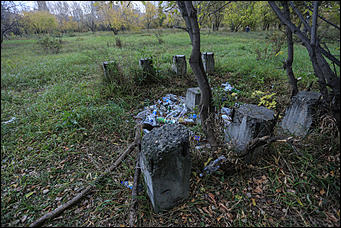 6 октября 2017 г., Барнаул. Екатерина Смолихина   Там, где кончается сказка: темная сторона парка Индустриального района
