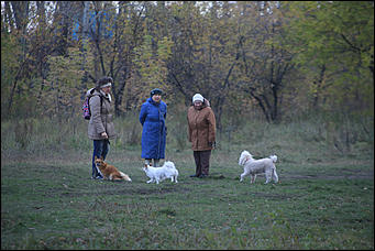 6 октября 2017 г., Барнаул. Екатерина Смолихина   Там, где кончается сказка: темная сторона парка Индустриального района