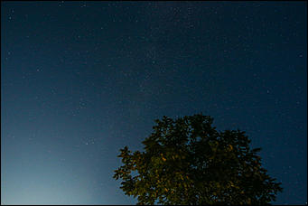 13 августа 2019 г., Барнаул   Загадай желание. Звездное небо августа в объективе Amic.ru