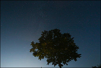 13 августа 2019 г., Барнаул   Загадай желание. Звездное небо августа в объективе Amic.ru