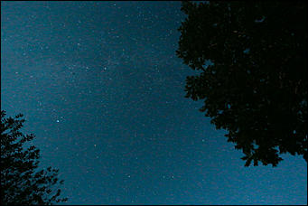 13 августа 2019 г., Барнаул   Загадай желание. Звездное небо августа в объективе Amic.ru