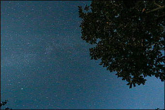 13 августа 2019 г., Барнаул   Загадай желание. Звездное небо августа в объективе Amic.ru