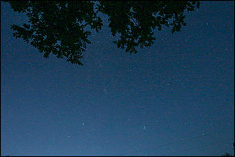 13 августа 2019 г., Барнаул   Загадай желание. Звездное небо августа в объективе Amic.ru