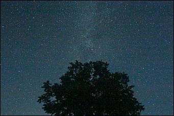 13 августа 2019 г., Барнаул   Загадай желание. Звездное небо августа в объективе Amic.ru