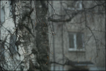 3 ноября 2017 г., Барнаул. Екатерина Смолихина   Сайлент Хилл по-барнаульски: туманный город в объективе Amic.ru