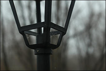 3 ноября 2017 г., Барнаул. Екатерина Смолихина   Сайлент Хилл по-барнаульски: туманный город в объективе Amic.ru