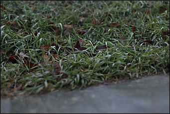 3 ноября 2017 г., Барнаул. Екатерина Смолихина   Сайлент Хилл по-барнаульски: туманный город в объективе Amic.ru