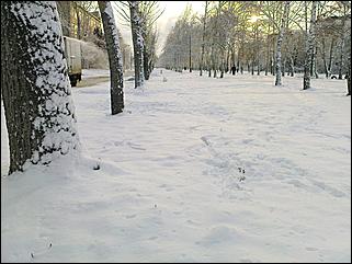 9 ноября 2008 г., Барнаул   Первый снег 