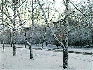 9 ноября 2008 г., Барнаул   Первый снег 