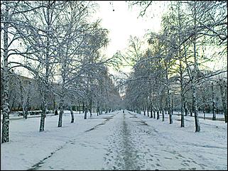 9 ноября 2008 г., Барнаул   Первый снег 