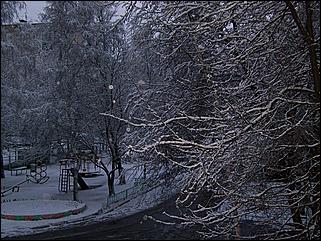 9 ноября 2008 г., Барнаул   Первый снег 