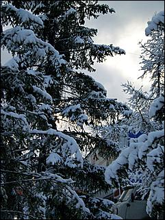 9 ноября 2008 г., Барнаул   Первый снег 