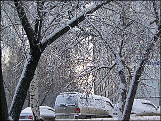 9 ноября 2008 г., Барнаул   Первый снег 
