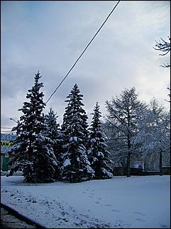 9 ноября 2008 г., Барнаул   Первый снег 
