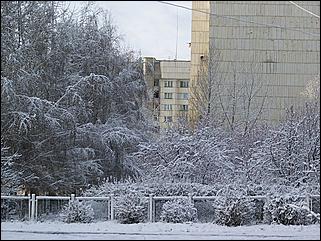 9 ноября 2008 г., Барнаул   Первый снег 