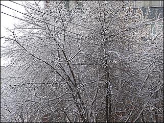 9 ноября 2008 г., Барнаул   Первый снег 