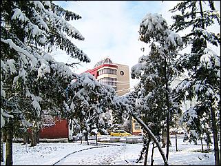 9 ноября 2008 г., Барнаул   Первый снег 