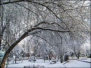 9 ноября 2008 г., Барнаул   Первый снег 