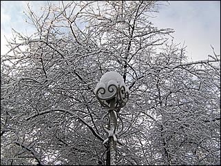 9 ноября 2008 г., Барнаул   Первый снег 