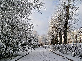 9 ноября 2008 г., Барнаул   Первый снег 