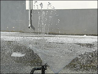 9 ноября 2008 г., Барнаул   Первый снег 