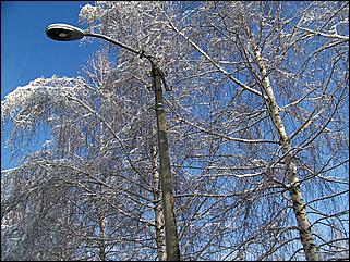 9 ноября 2008 г., Барнаул   Первый снег 