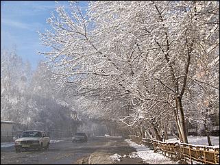 9 ноября 2008 г., Барнаул   Первый снег 