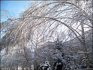 9 ноября 2008 г., Барнаул   Первый снег 