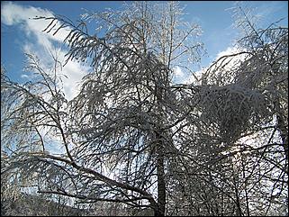 9 ноября 2008 г., Барнаул   Первый снег 