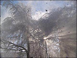 9 ноября 2008 г., Барнаул   Первый снег 