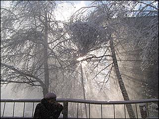 9 ноября 2008 г., Барнаул   Первый снег 