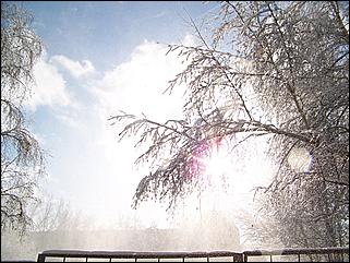 9 ноября 2008 г., Барнаул   Первый снег 