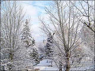 9 ноября 2008 г., Барнаул   Первый снег 