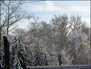 9 ноября 2008 г., Барнаул   Первый снег 