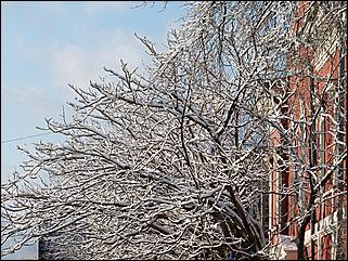 9 ноября 2008 г., Барнаул   Первый снег 