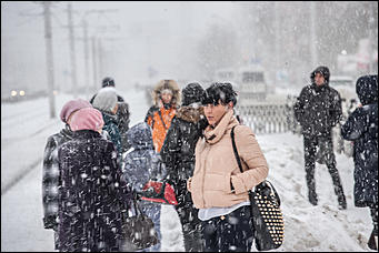 25 октябрь 2016 г., Барнаул  © Амител Вячеслав Мельников   Метель в октябре: фоторепортаж с улиц Барнаула  