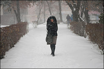 9 ноябрь 2016 г., Барнаул © Амител Вячеслав Мельников    Сильный снегопад накрыл Барнаул. Фоторепортаж