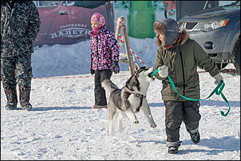 20 февраль 2017 г., Барнаул © Амител Вячеслав Мельников   Зимний фестиваль прошел в семейно-развлекательном комплексе "Березка"