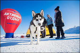 20 февраль 2017 г., Барнаул © Амител Вячеслав Мельников   Зимний фестиваль прошел в семейно-развлекательном комплексе "Березка"