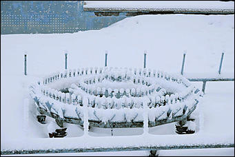 10 февраль 2020 г., Барнаул. Мельников Вячеслав   "Ажурный Барнаул". Таким красивым февраль вы еще не видели