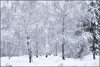 10 февраль 2020 г., Барнаул. Мельников Вячеслав   "Ажурный Барнаул". Таким красивым февраль вы еще не видели