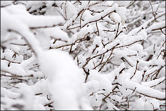 10 февраль 2020 г., Барнаул. Мельников Вячеслав   "Ажурный Барнаул". Таким красивым февраль вы еще не видели